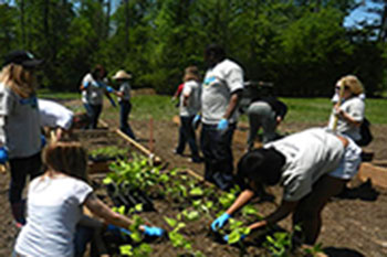 UWG Plants Community Garden