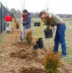 UWG Receives 4th Consecutive Tree Campus USA Award 