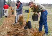 UWG Receives 4th Consecutive Tree Campus USA Award