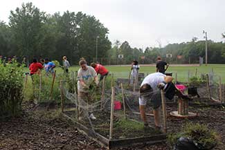 Third Annual All-College Service Day Gives Back to West Georgia Community 