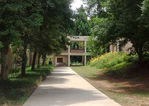 Summer on UWG Campus — Storms, Collards, Grilling, Quiet 