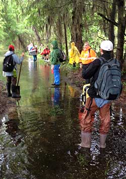 Uncovering the Past: UWG Field School Explores the Rich Prehistory of Savannah River Swamps 