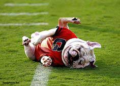 UGA Announces Change in Mascot to Wolves 
